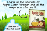 Apple Cider Vinegar Ebook Review – 100+ Natural Remedies